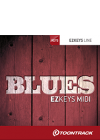 blues_NEW