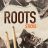 TT157_RootsSDX_STICKS