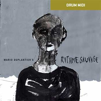 Rythme Sauvage MIDI