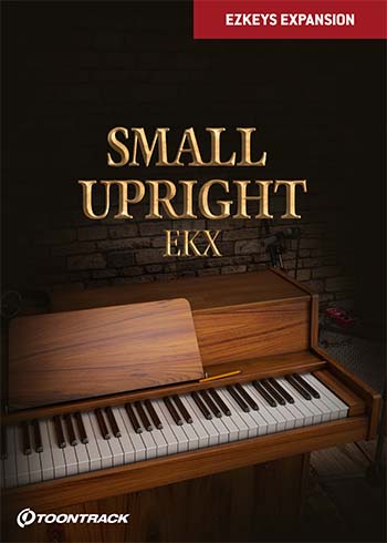 Small Upright Piano EKX