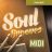 TT317_SoulGroovesMIDI_product-image